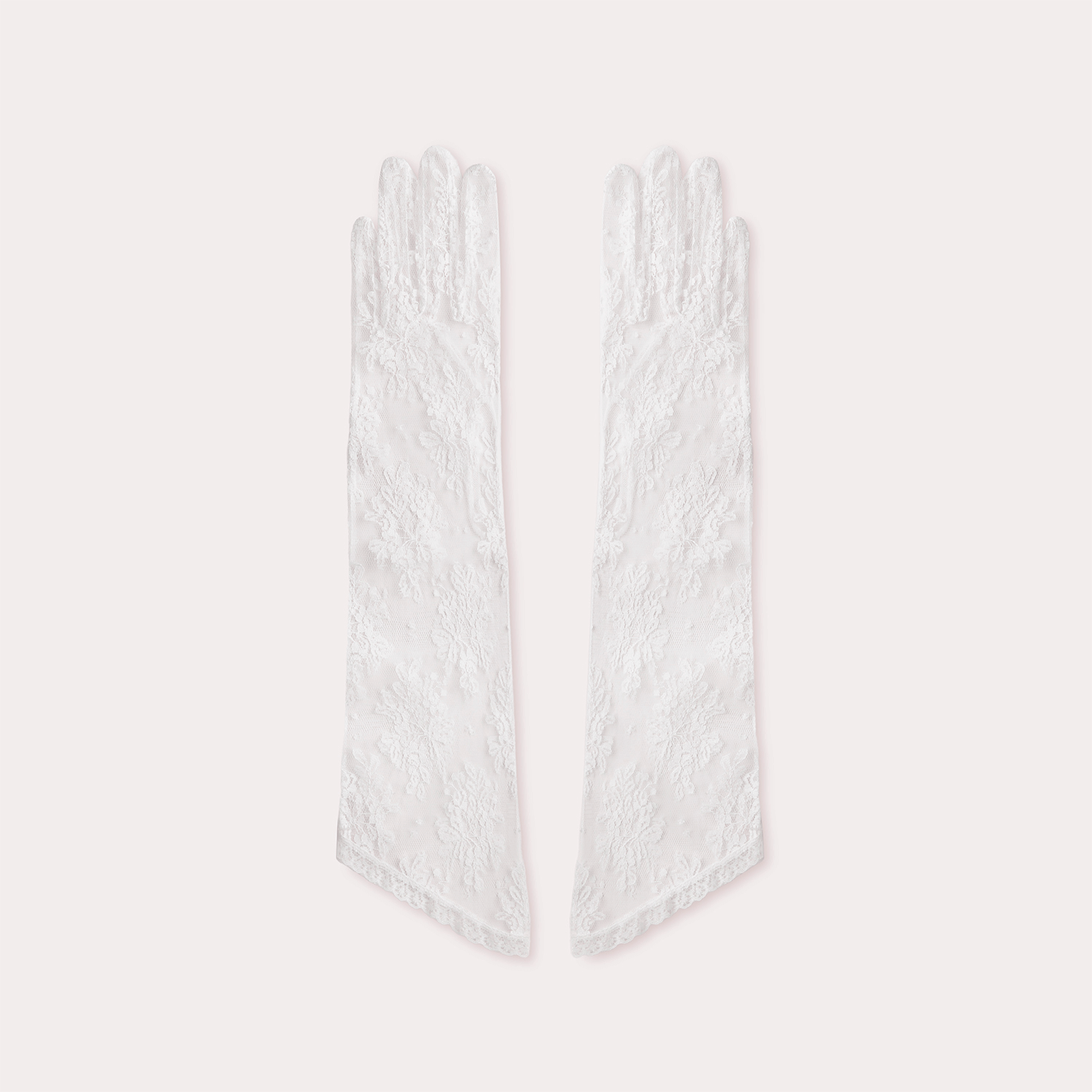 Versaille Lace Opera Glove